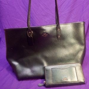 Coach iridescent tote and wallet set purple/green